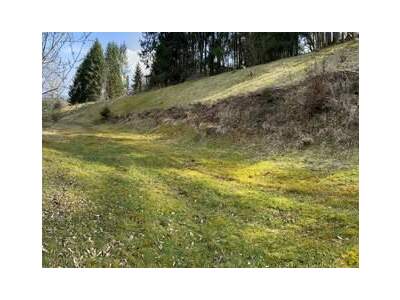 Grundstück provisionsfrei kaufen in 5223 Pfaffstätt