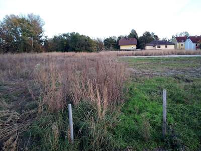 Grundstück kaufen in 2486 Siegersdorf (Bild 4)