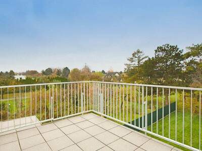 Terrassenwohnung kaufen in 1220 Wien (Bild 3)