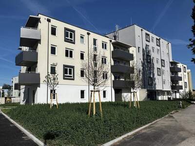 Wohnung mieten in 2700 Wiener Neustadt