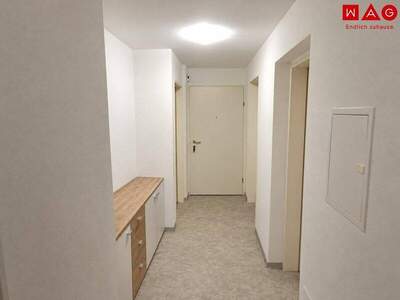 Wohnung mieten in 4843 Ampflwang (Bild 5)