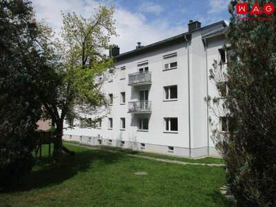Terrassenwohnung mieten in 4593 Obergrünburg (Bild 2)