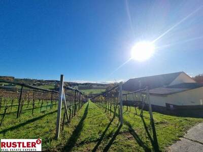 Haus kaufen in 8345 Straden