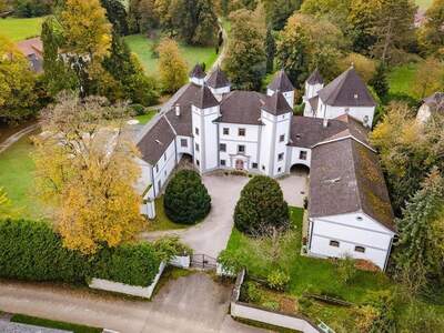 Haus kaufen in 4693 Desselbrunn