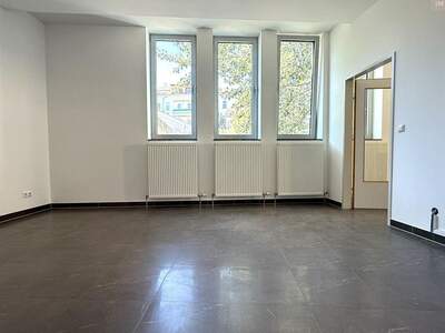 Gewerbeobjekt mieten in 1190 Wien (Bild 4)