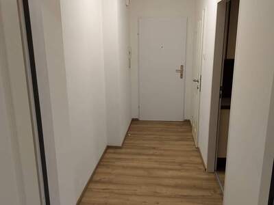 Apartment provisionsfrei mieten in 2514 Möllersdorf