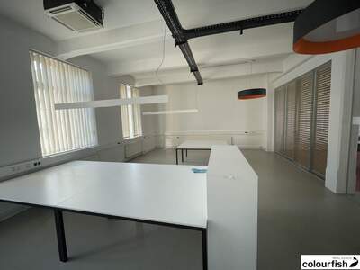 Gewerbeobjekt mieten in 1100 Wien (Bild 3)