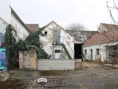 Grundstück kaufen in 2003 Leitzersdorf (Bild 5)