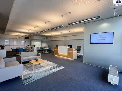 Gewerbeobjekt mieten in 1110 Wien (Bild 5)