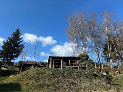 Grundstück kaufen in 4203 Altenberg