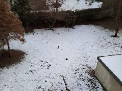 Haus kaufen in 8010 Graz (Bild 2)