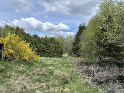 Grundstück kaufen in 4202 Davidschlag