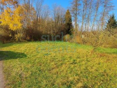 Grundstück kaufen in 4540 Bad Hall