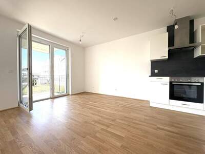 Wohnung mieten in 1220 Wien