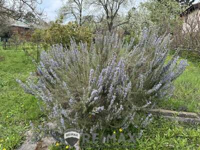 Grundstück kaufen in 2100 Korneuburg (Bild 5)