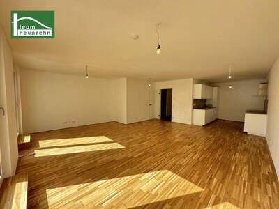 Terrassenwohnung mieten in 1230 Wien (Bild 2)