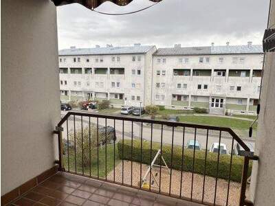 Terrassenwohnung mieten in 4470 Enns (Bild 4)