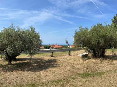 Grundstück kaufen in 52464 Kaštelir (Bild 3)