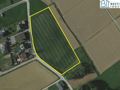 Grundstück kaufen in 8261 Sinabelkirchen (Bild 5)