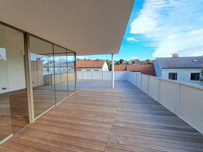 Terrassenwohnung kaufen in 7100 Neusiedl (Bild 5)