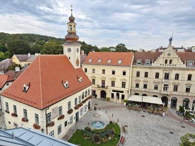 Gewerbeobjekt mieten in 2340 Mödling