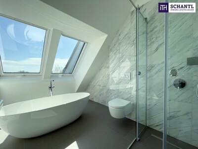 Terrassenwohnung mieten in 1210 Wien (Bild 2)