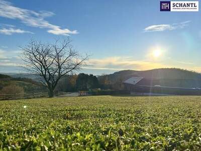 Grundstück kaufen in 8045 Weinitzen