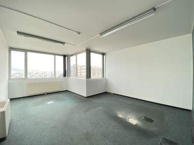 Gewerbeobjekt mieten in 4040 Linz (Bild 4)