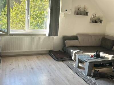 Wohnung provisionsfrei mieten in 2823 Brunn