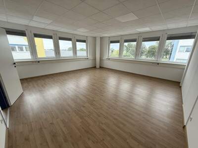 Büro / Praxis mieten in 2544 Leobersdorf (Bild 5)