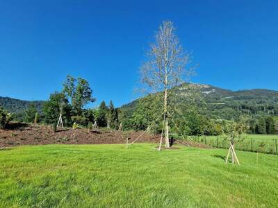 Wohnung mieten in 5026 Salzburg