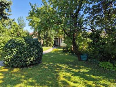 Grundstück kaufen in 2700 Wr. Neustadt (Bild 5)