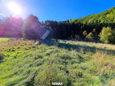 Grundstück kaufen in 4462 Reichraming