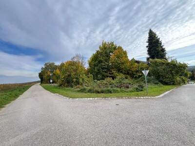 Grundstück kaufen in 2123 Kreuttal