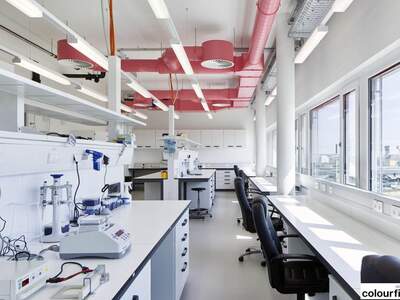 Gewerbeobjekt mieten in 1210 Wien (Bild 3)