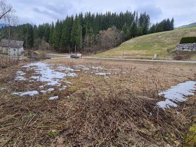 Grundstück kaufen in 4574 Vorderstoder (Bild 1)