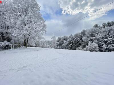 Haus kaufen in 8542 Wies