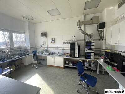 Gewerbeobjekt mieten in 1210 Wien (Bild 2)