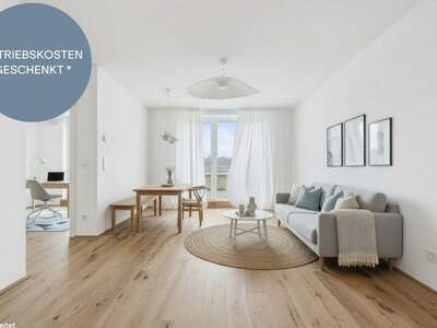 Anlageobjekt kaufen in 2540 Bad Vöslau