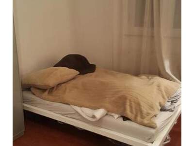Apartment provisionsfrei mieten in 1010 Wien
