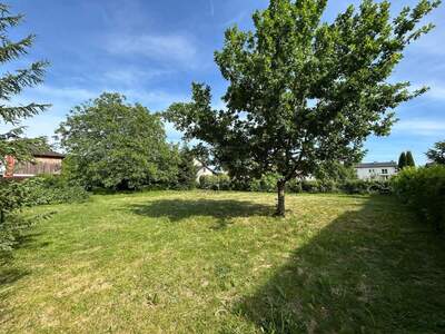 Grundstück kaufen in 5230 Mattighofen (Bild 3)