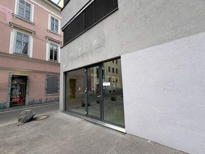 Gewerbeobjekt mieten in 8020 Graz (Bild 2)