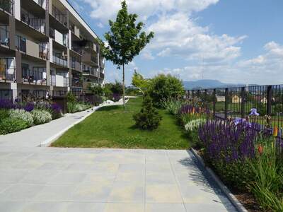 Wohnung mieten in 8055 Graz (Bild 1)