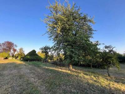 Grundstück kaufen in 4615 Holzhausen (Bild 4)