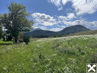 Grundstück kaufen in 9232 Rosegg