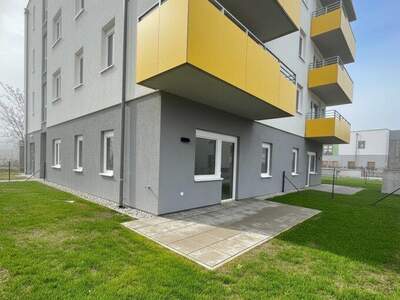 Terrassenwohnung mieten in 2700 Wr. Neustadt (Bild 5)
