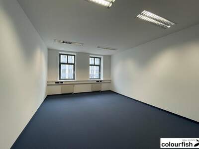 Gewerbeobjekt mieten in 1040 Wien (Bild 3)