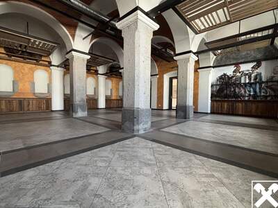 Gewerbeobjekt mieten in 4470 Enns (Bild 3)