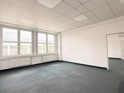 Gewerbeobjekt mieten in 2320 Schwechat (Bild 3)