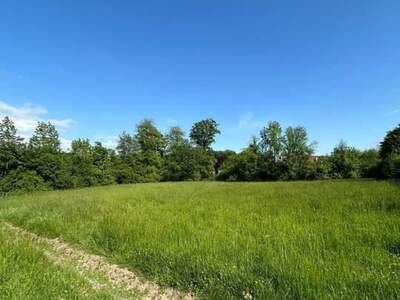 Grundstück kaufen in 4612 Scharten